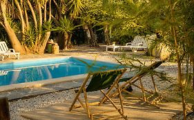 Casa Rico Frade Garden
